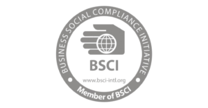bsci-Logo__1_-removebg-preview